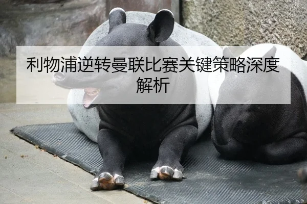 利物浦逆转曼联比赛关键策略深度解析